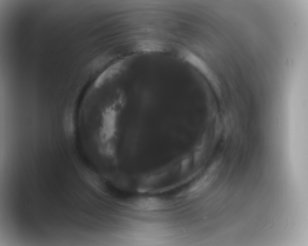 X0000089760203200707051839