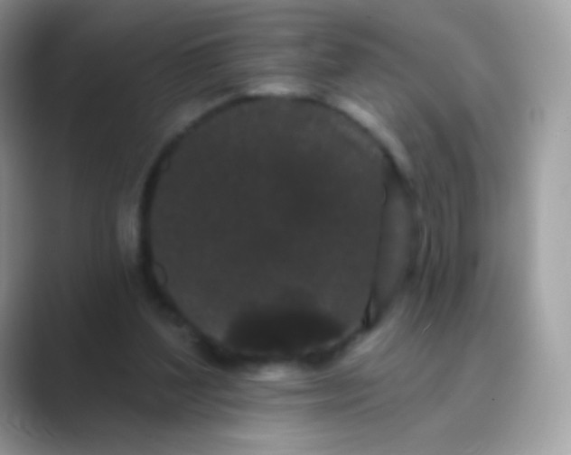 X0000089760204200707051839