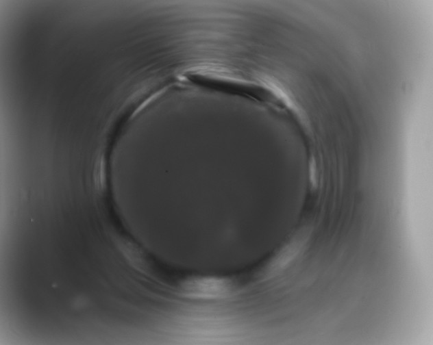 X0000089760205200707051839