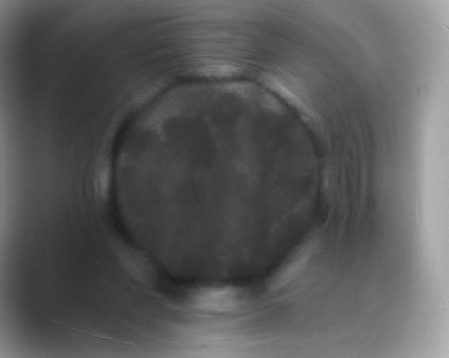 X0000089760206200707051839