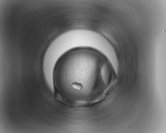 X0000089760207200707051839