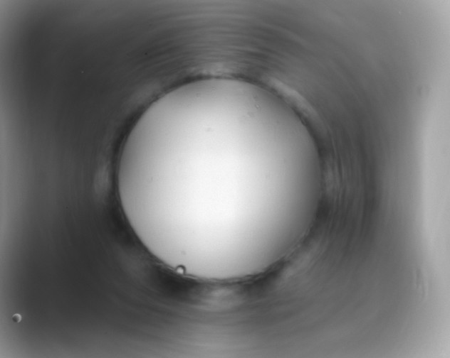 X0000089760208200707051839