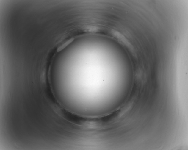 X0000089760209200707051839