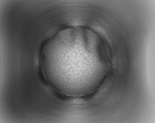 X0000089760210200707051839