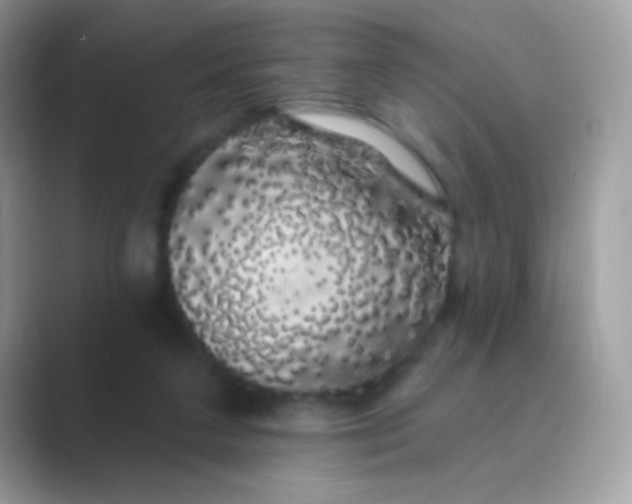 X0000089760211200707051839