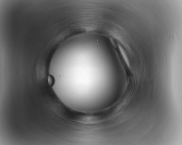 X0000089760212200707051839