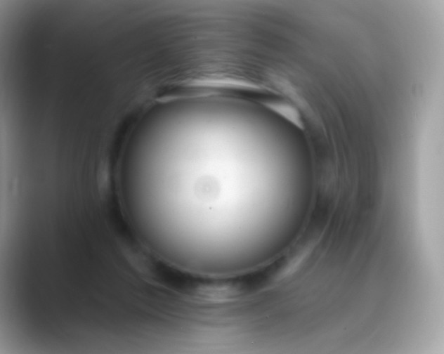 X0000089760213200707051839