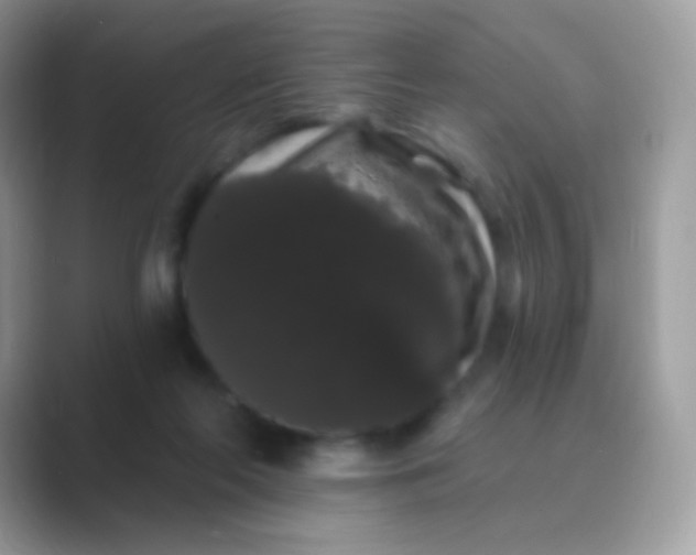 X0000089760214200707051839