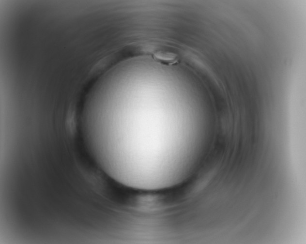 X0000089760216200707051839