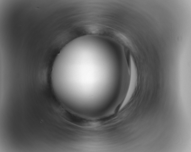 X0000089760217200707051839