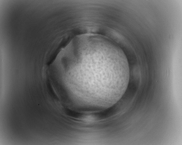 X0000089760218200707051839