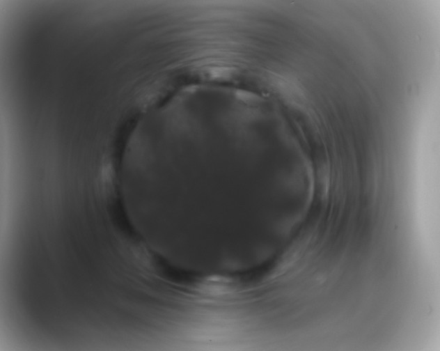 X0000089760222200707051839