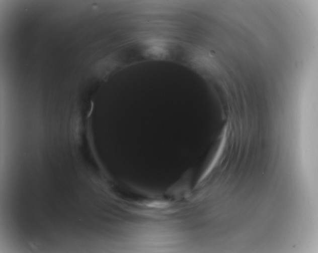 X0000089760223200707051839