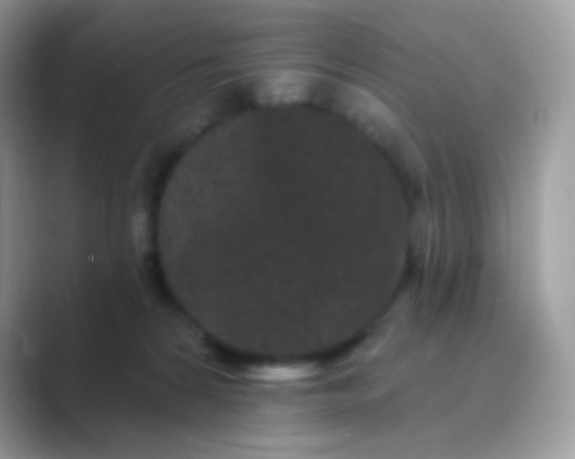 X0000089760224200707051839