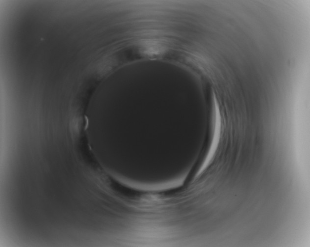 X0000089760227200707051839