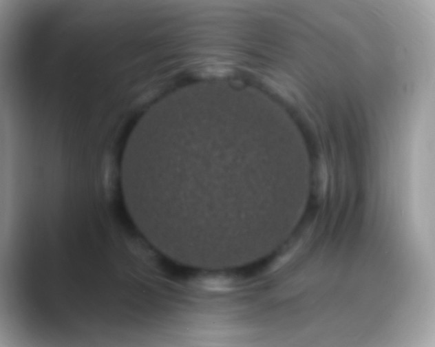 X0000089760228200707051839