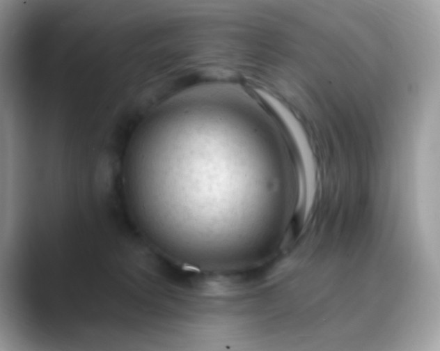 X0000089760229200707051839