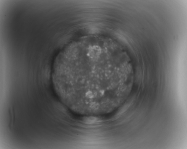 X0000089760230200707051839