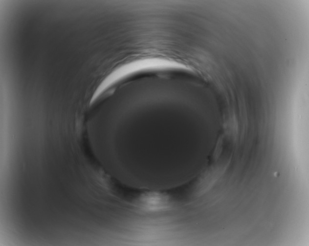 X0000089760231200707051839