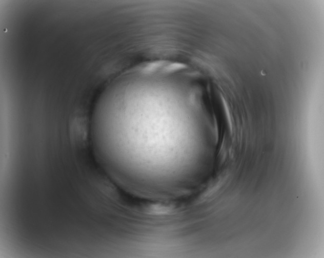 X0000089760232200707051839