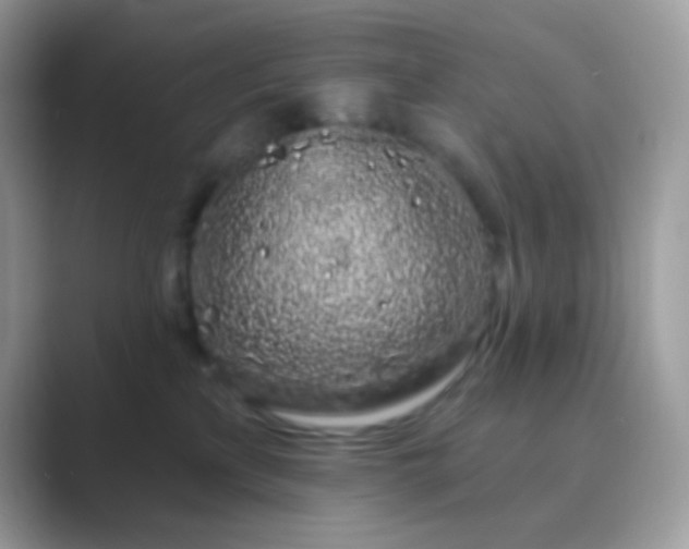 X0000089760233200707051839