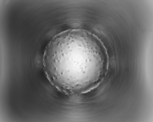 X0000089760234200707051839