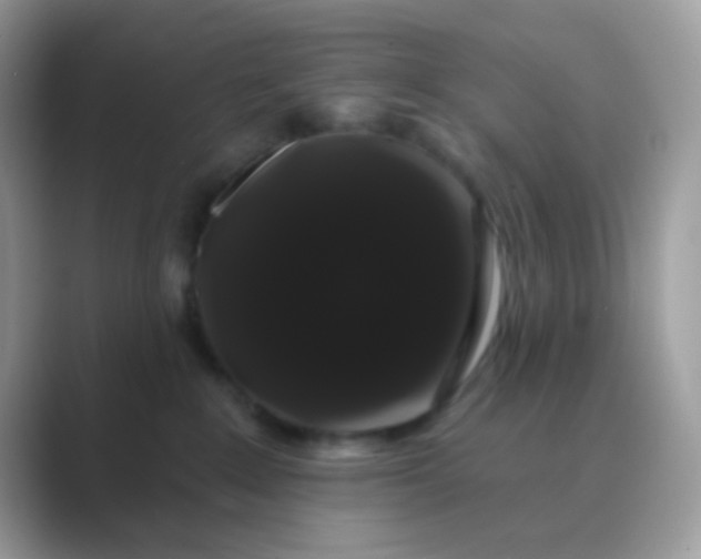 X0000089760235200707051839