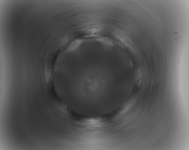 X0000089760236200707051839