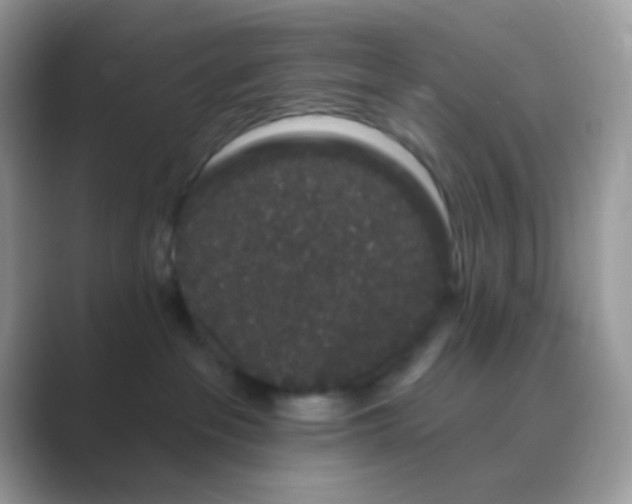 X0000089760237200707051839