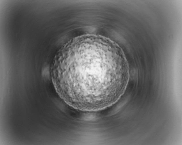 X0000089760238200707051839