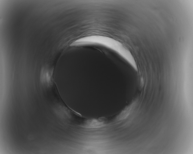 X0000089760239200707051839