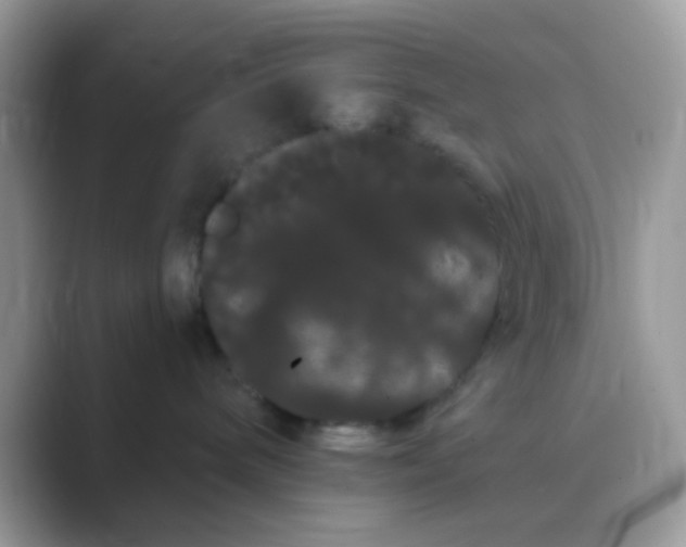 X0000089760240200707051839