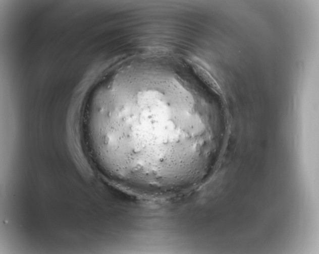 X0000089760241200707051838