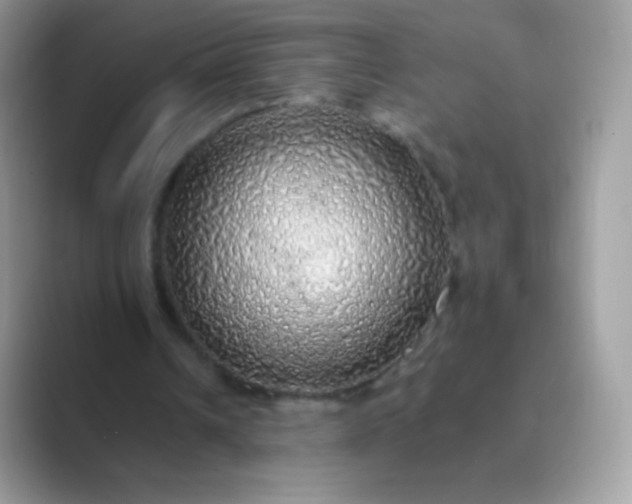 X0000089760242200707051838