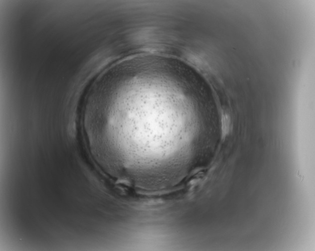 X0000089760243200707051838