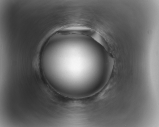 X0000089760244200707051838