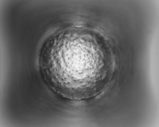 X0000089760245200707051838