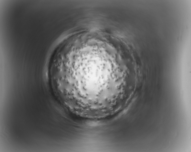 X0000089760246200707051838