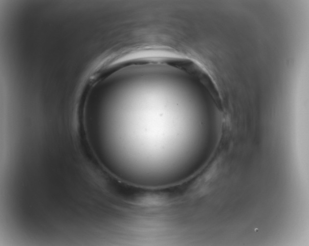 X0000089760248200707051838