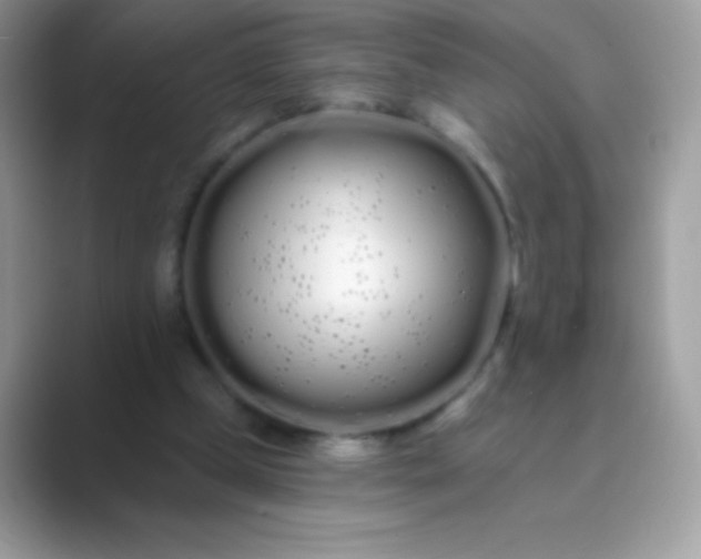 X0000089760249200707051838