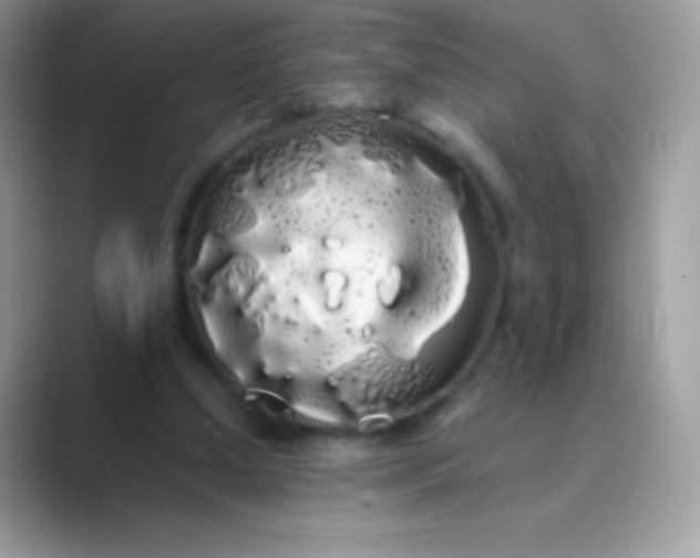 X0000089760250200707051838