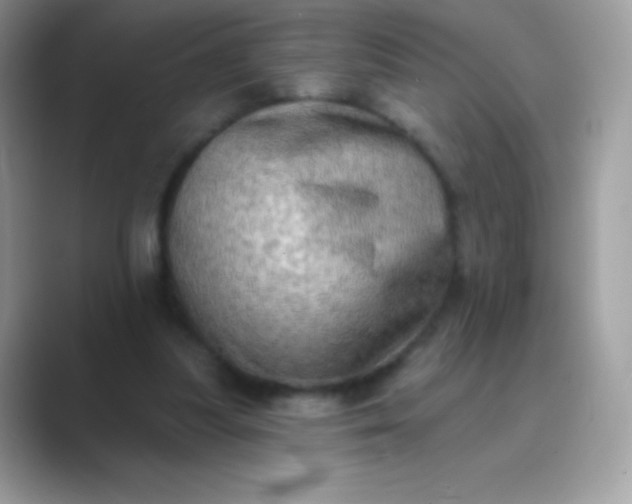 X0000089760251200707051838