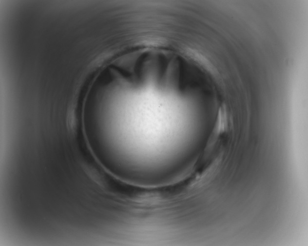 X0000089760252200707051838