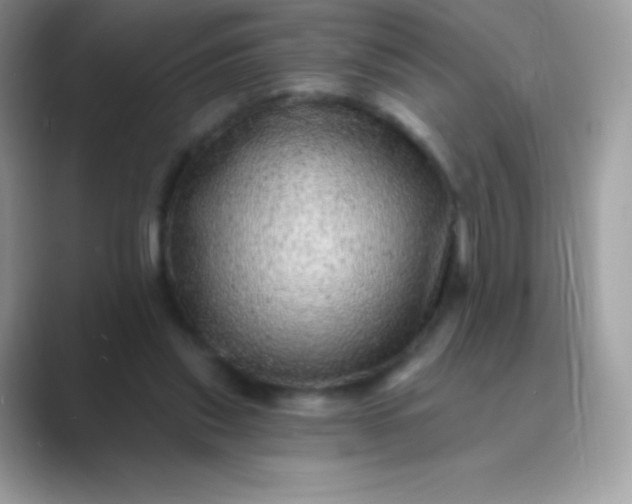 X0000089760253200707051838