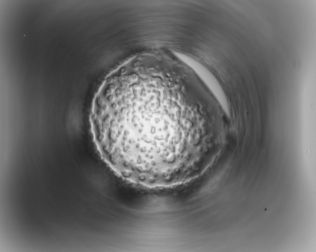 X0000089760255200707051838