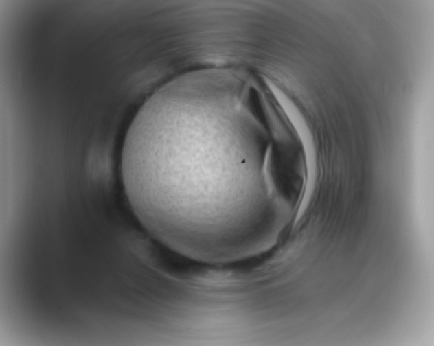 X0000089760256200707051838