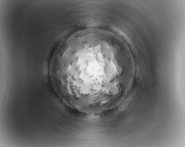 X0000089760257200707051838