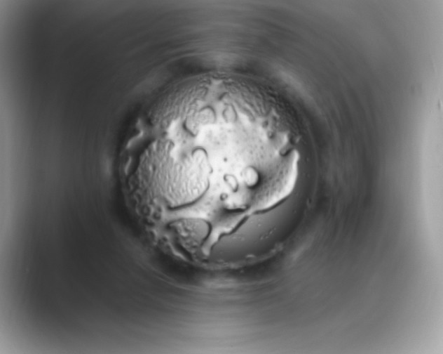 X0000089760258200707051838