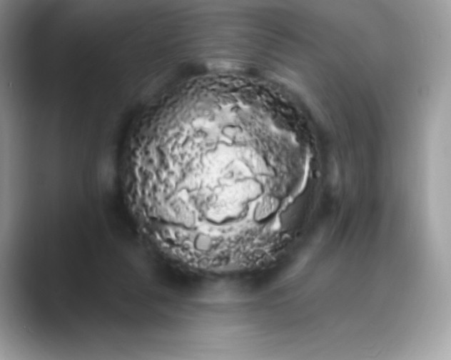 X0000089760259200707051838