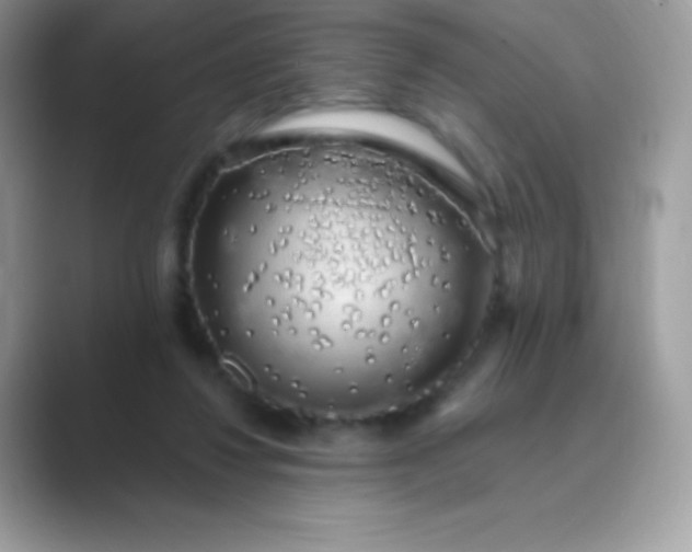 X0000089760260200707051838